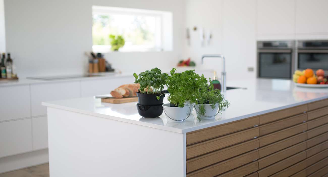 Terminvorschlag oder Anfrage zur steuerlichen Optimierung bei privater Vermietung, einschließlich Werbungskosten, Mietausfällen und Finanzierungskosten